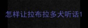 怎样让拉布拉多犬听话
