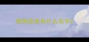 狗狗疫苗有什么名字