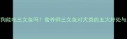 狗狗能吃三文鱼吗营养师三文鱼对犬类的五大好处与风险