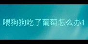 喂狗狗吃了葡萄怎么办