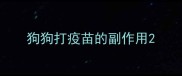 狗狗打疫苗的副作用