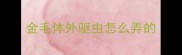 金毛体外驱虫怎么弄的