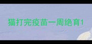 猫打完疫苗一周绝育