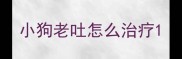 小狗老吐怎么治疗