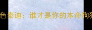 灰色泰迪VS奶油色泰迪谁才是你的本命狗狗全攻略来了