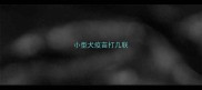 小型犬疫苗打几联