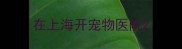 在上海开宠物医院