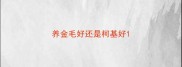 养金毛好还是柯基好