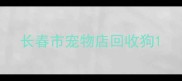 长春市宠物店回收狗