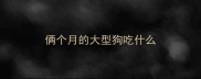 俩个月的大型狗吃什么