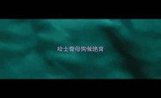 哈士奇母狗做绝育