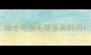 哈士奇换毛要多长时间