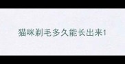 猫咪剃毛多久能长出来