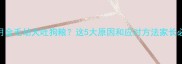 两个月金毛幼犬吐狗粮这5大原因和应对方法家长必看