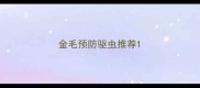 金毛预防驱虫推荐