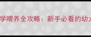 7天未满月泰迪科学喂养全攻略新手必看的幼犬营养与护理指南