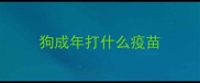 狗成年打什么疫苗