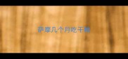 萨摩几个月吃干粮