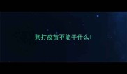 狗打疫苗不能干什么