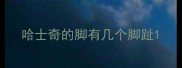 哈士奇的脚有几个脚趾