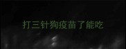 打三针狗疫苗了能吃