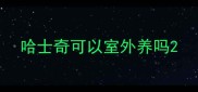 哈士奇可以室外养吗
