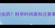 狗狗打疫苗后多久可以吃驱虫药科学时间表和注意事项全附专业兽医建议