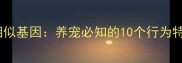 哈士奇与狼的相似基因养宠必知的10个行为特征与养护建议