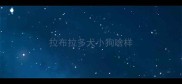 拉布拉多犬小狗啥样