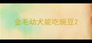 金毛幼犬能吃豌豆