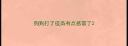 狗狗打了疫苗有点感冒了