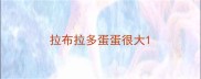 拉布拉多蛋蛋很大