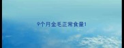 9个月金毛正常食量
