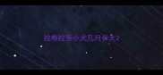 拉布拉多小犬几月长大