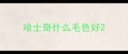 哈士奇什么毛色好
