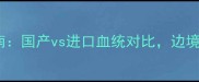 哈士奇幼犬选购指南国产vs进口血统对比边境牧羊犬混血成新宠
