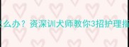 拉布拉多背毛变硬怎么办资深训犬师教你3招护理指南秒变顺滑软毛