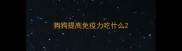 狗狗提高免疫力吃什么