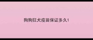 狗狗狂犬疫苗保证多久