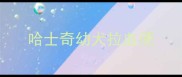 哈士奇幼犬拉血便
