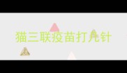 猫三联疫苗打几针