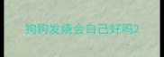 狗狗发烧会自己好吗