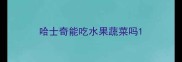 哈士奇能吃水果蔬菜吗