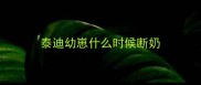 泰迪幼崽什么时候断奶