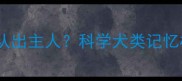 狗狗走失后能否认出主人科学犬类记忆机制与情感纽带