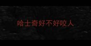 哈士奇好不好咬人