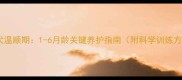 泰迪犬温顺期1-6月龄关键养护指南附科学训练方案