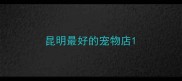 昆明最好的宠物店