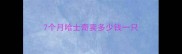 7个月哈士奇卖多少钱一只