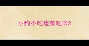 小狗不吃蔬菜吃肉